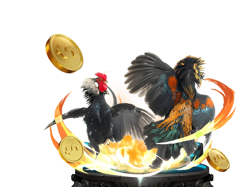 Giao diện đặt cược đá gà trực tuyến